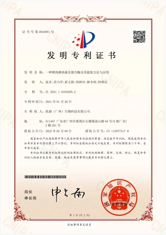 圖片6