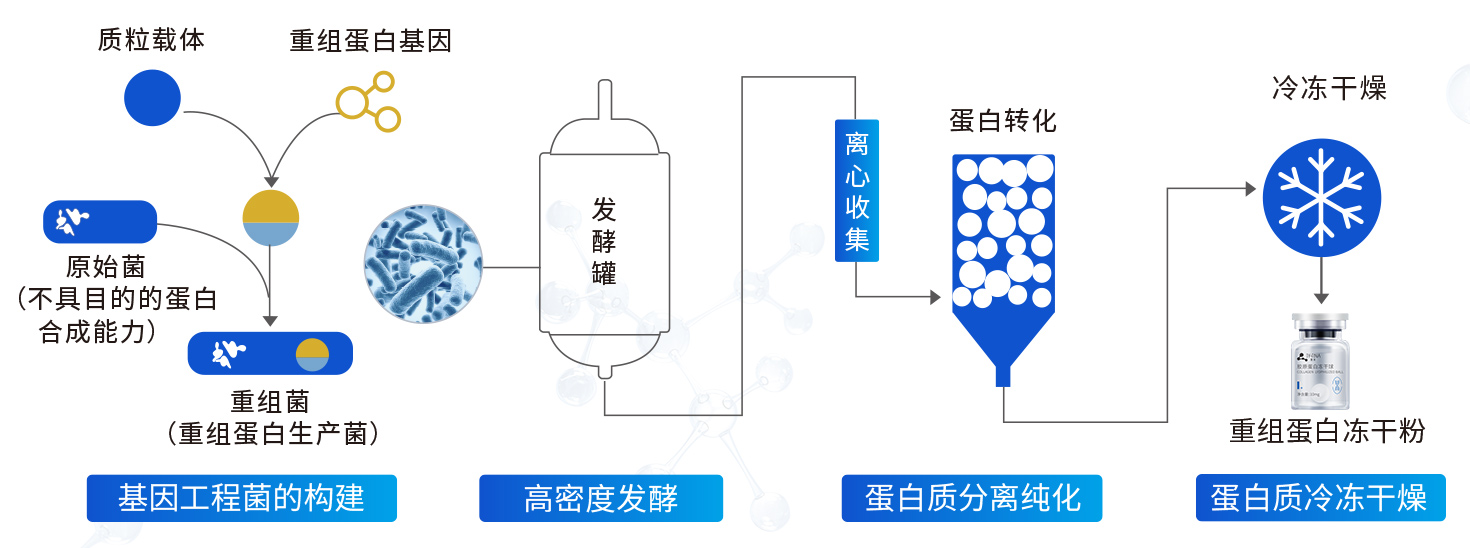 05關于肽源-科(kē)研生(shēng)産實力_23